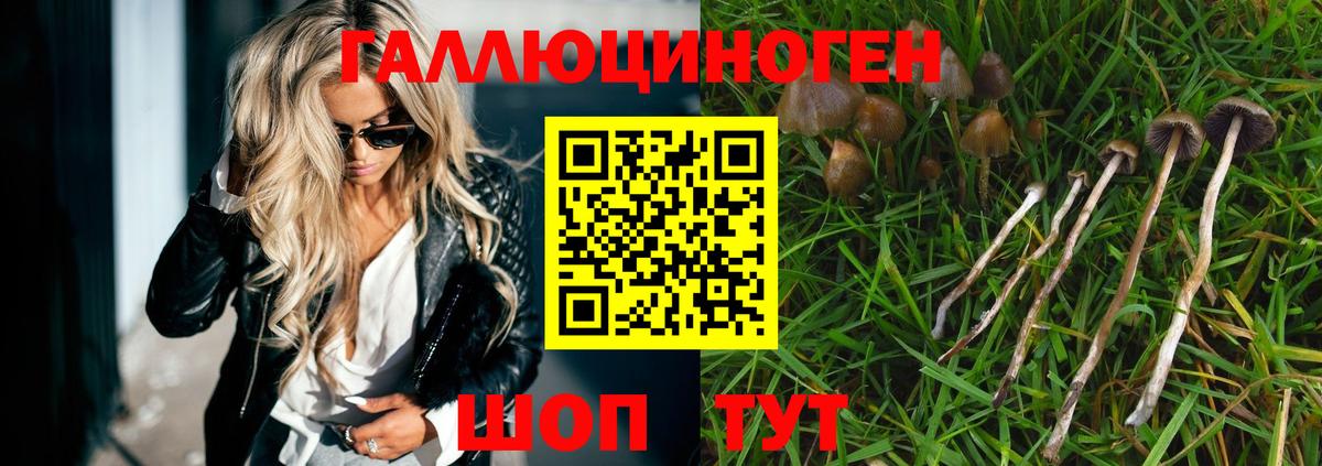 Галлюциногенные грибы мухоморы Звенигород